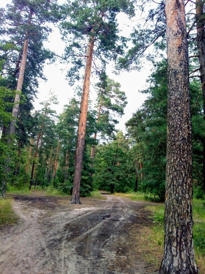 Guest House Kiev Forest Kyiv Exterior foto