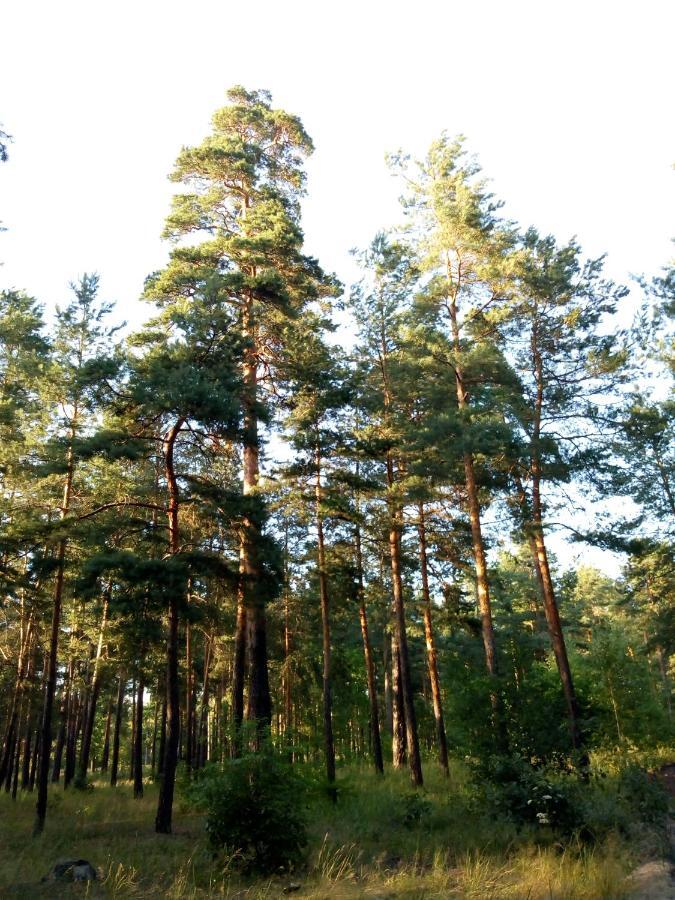 Guest House Kiev Forest Kyiv Exterior foto